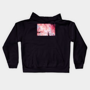 Color Drama One Kids Hoodie